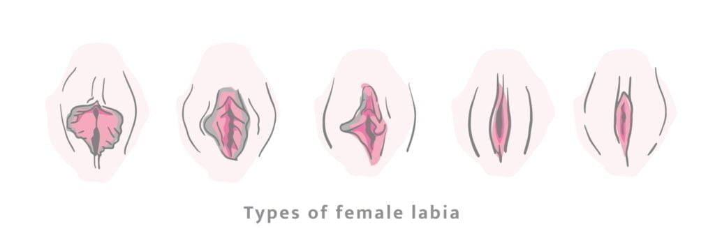 Is my vagina normal? Experts weigh in on the 7 types of vagina